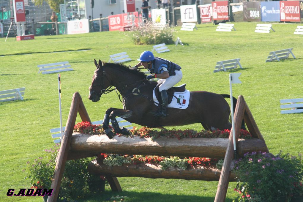 Championnat d'Europe de concours complet d'équitation 2009