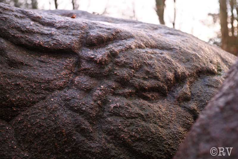 Le plus grand Dolmen (hunebed) des Pays-Bas. - à coté du musée des dolmens  de Borger - 

De majestueux témoins séculaires des populations qui peuplaient les Pays-Bas il y a cinq mille ans. 

Ces énormes roches proviennent de Suisse et de Finla