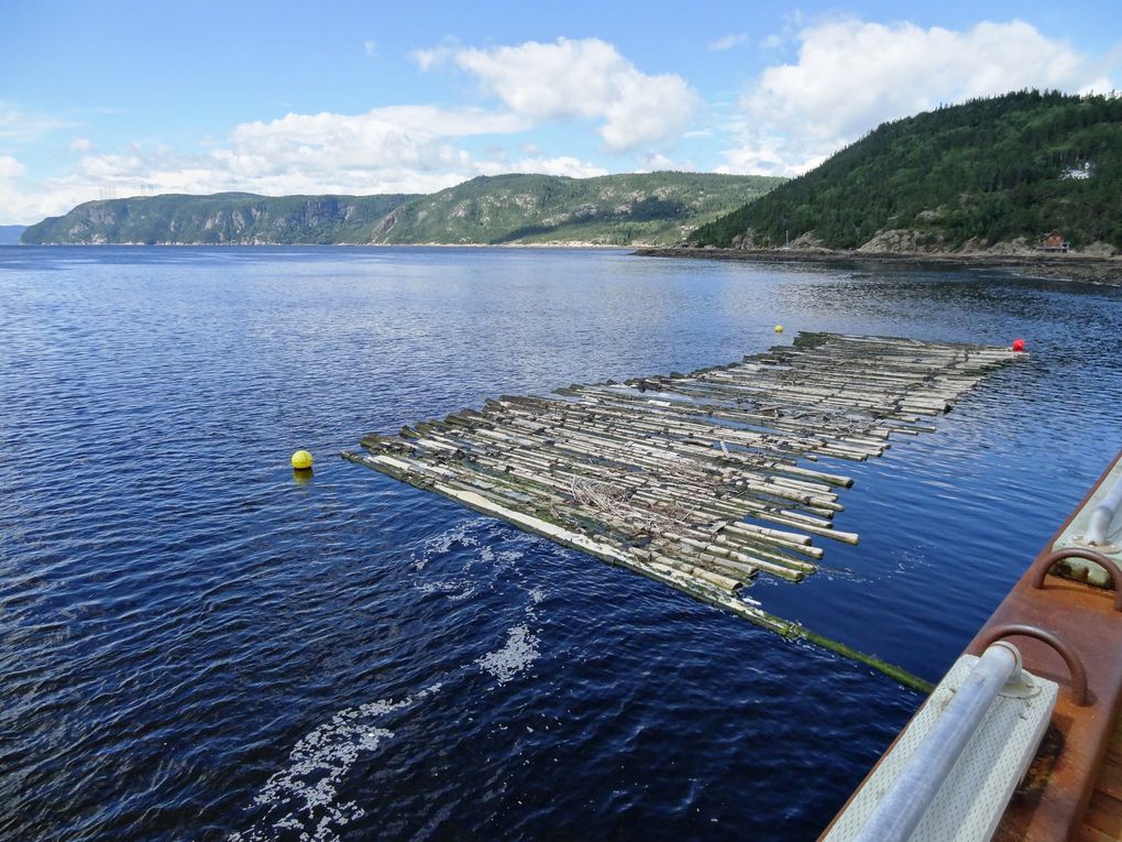 Le fjord du Saguenay entre Tadoussac et Sainte-Rose du Nord