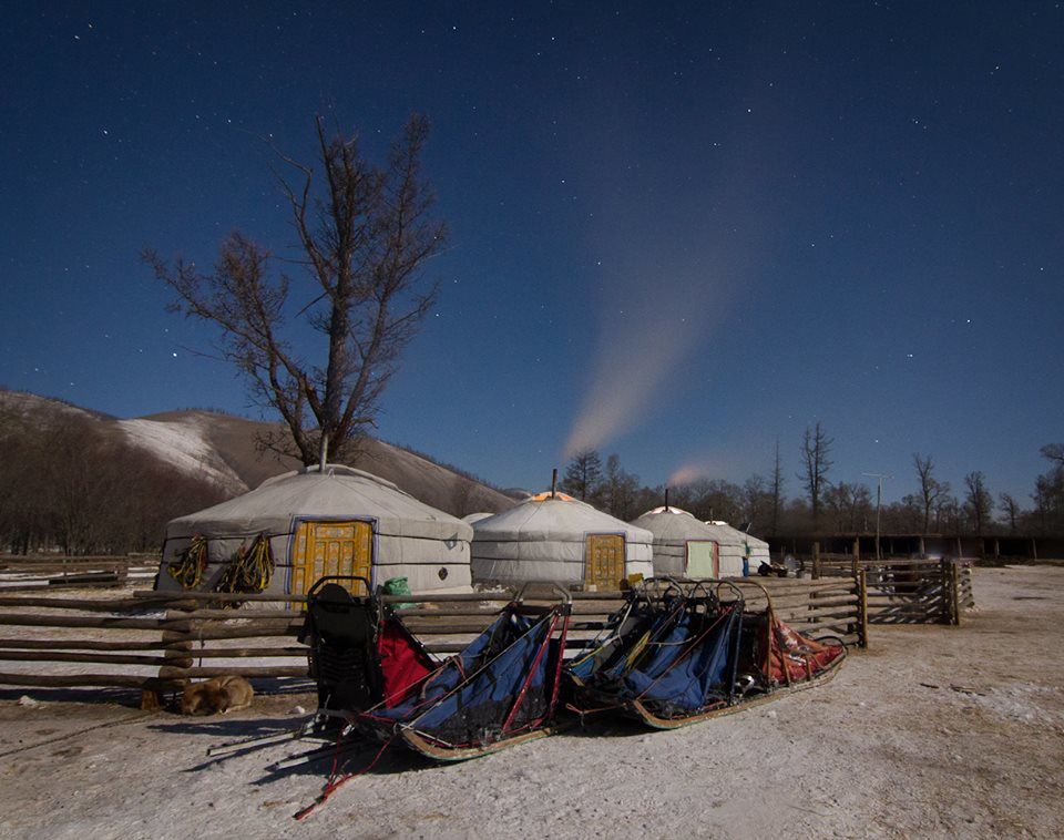 Découverte de la Mongolie en hiver - janvier 2014