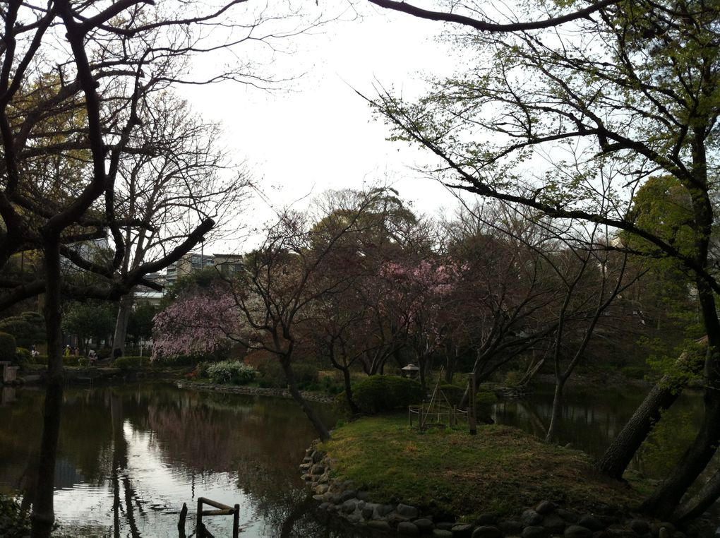 Le parc mémorial d'Arisugawa-no-miya (有栖川宮記念公園, Arisugawa Miya Kinen Kōen?) situé dans l'arrondissement de Minato à Tokyo.　Pour savoir plus de détails, voir le lien suivant. http://fr.wikipedia.org/wiki/Parc_mémorial_d'Arisuga