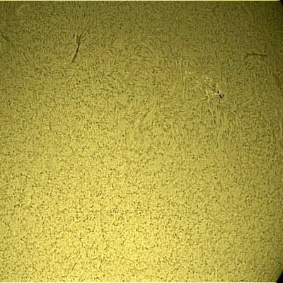Premiers essais de la PST Coronado : la surface solaire