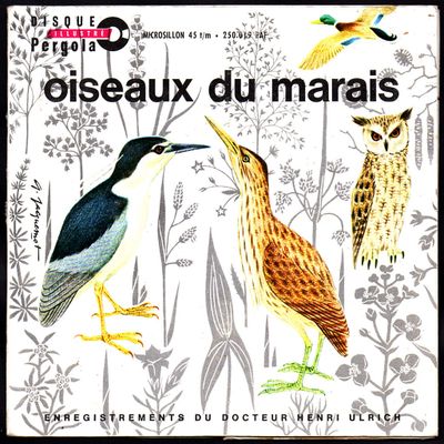 Oiseaux du marais - enregistrés par le Dr Henri Ulrich