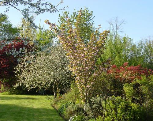 Balade dans le jardin