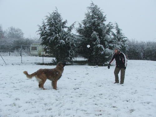 Perds-pas-la-boule ....