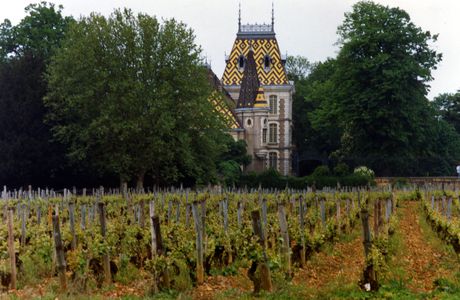 PIERRE ANDRÉ AU CHÂTEAU DE CORTON ANDRÉ - BOURGOGNE