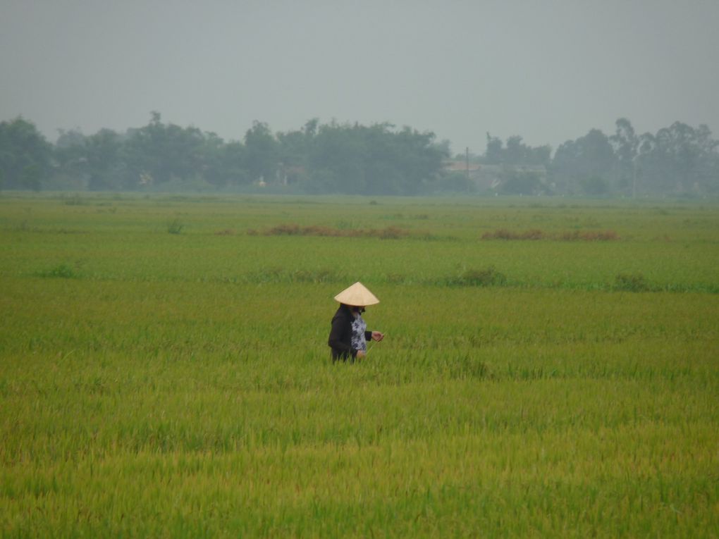 Album - Vietnam