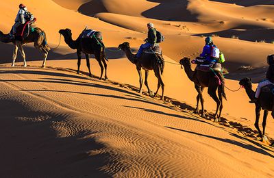 SAHARA TOURS