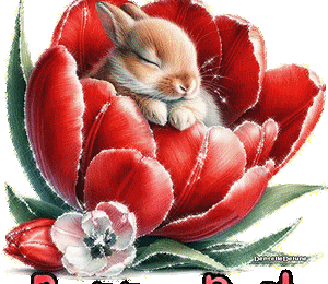Bonne nuit - lapin dans fleur - gif scintillant