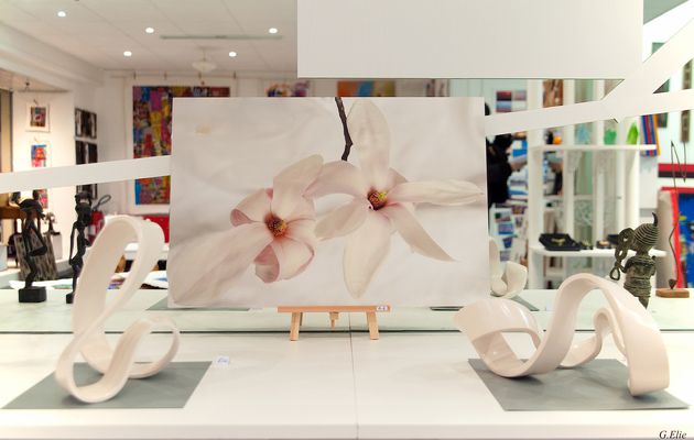 Les magnolias, l'une de mes photos en vente à la boutique Cultur'Al 