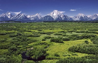 Grand Teton