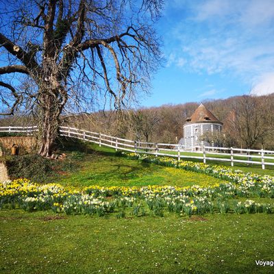 Le Printemps au parc de Rouelles (76)