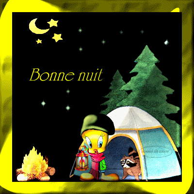 Bonne nuit - Titi - Camping - Feu - Etoiles - Gif animé - Gratuit