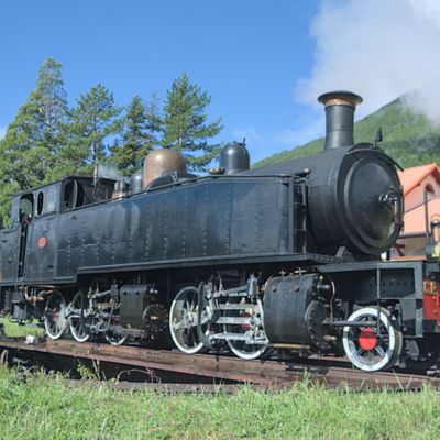 Le Train des Pignes à Vapeur fait vibrer Saint-André-les-Alpes !
