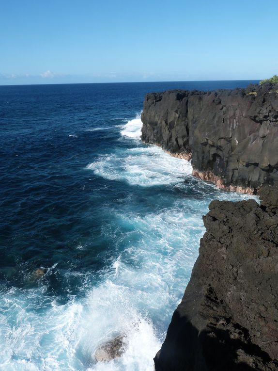 ma 1ere ballade seule, partie du Cap Méchant, puis Terre Brûlée, L'anse des cascades, et enfin Sainte Rose. Magnifique....