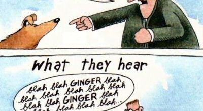 Gary LARSON. - 2 -