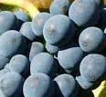 #Red Blend Wines Producers San Francisco Bay California Vineyards 