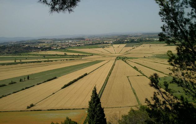  Etang de Montady