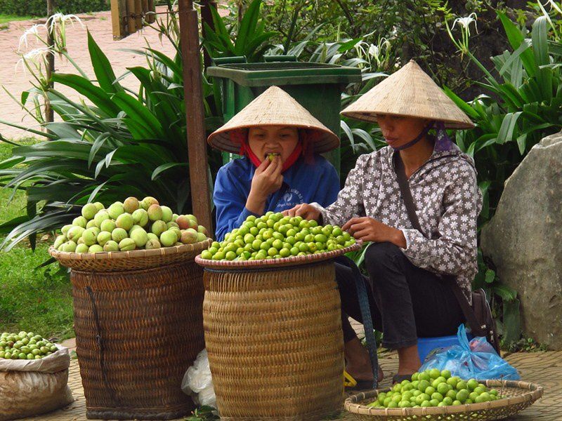 ALBUM - VIETNAM