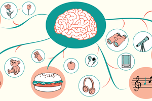 [DOSSIER] Mind Map et Pédagogie - Sydologie...