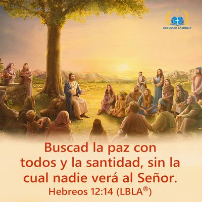 Evangelio de Hoy jueves 2 de agosto de 2018