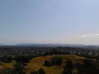Volcan relativement connu ici à Auckland, One Tree Hill ("Colline de l'arbre solitaire")  est l'un des 53 volcans présent dans la région. A l'origine, il y'avait un arbre planté pile au sommet de celui-ci, d'où son nom... Voila la vue depuis là haut ! 