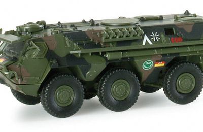 Le blindé FUCHS tpz