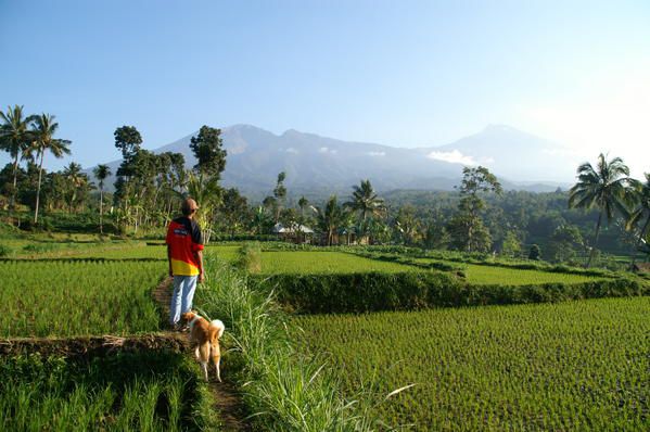 Album - Indonesia