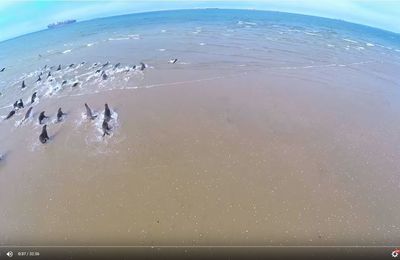 The first world-wide sport video competition by GoPro : barrel of the earth