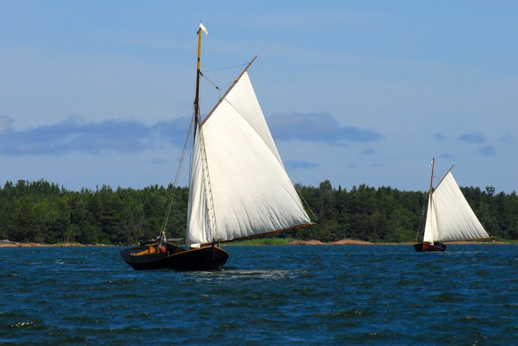 les vacances des mulots aux Aland en 2008