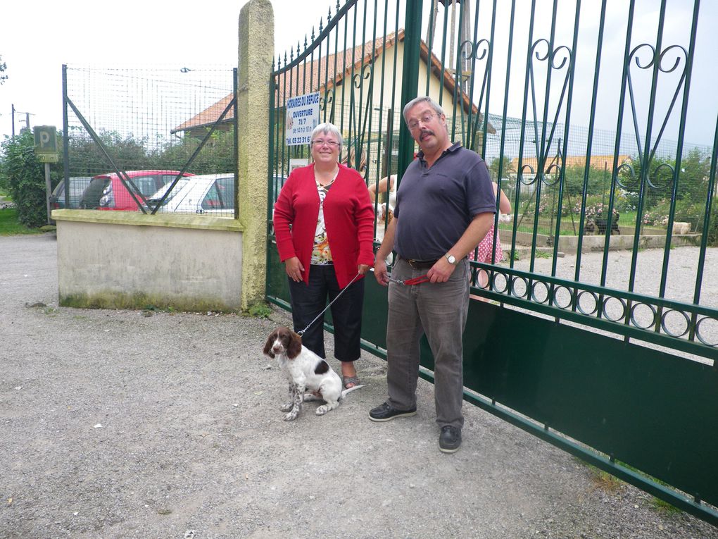 Album - CHIENS-ADOPTES-mai-juin-juillet-2012