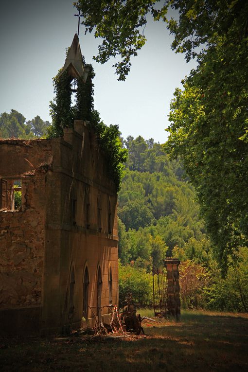 Album - Le Vieux Vignoble