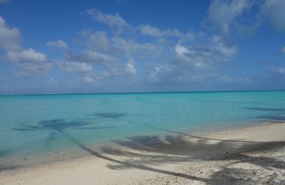 A l'autre bout du monde, un été 2015 ... avec vous 