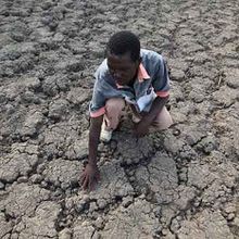 « Face au moment le plus critique de l’histoire de l’humanité… », par Noam Chomsky