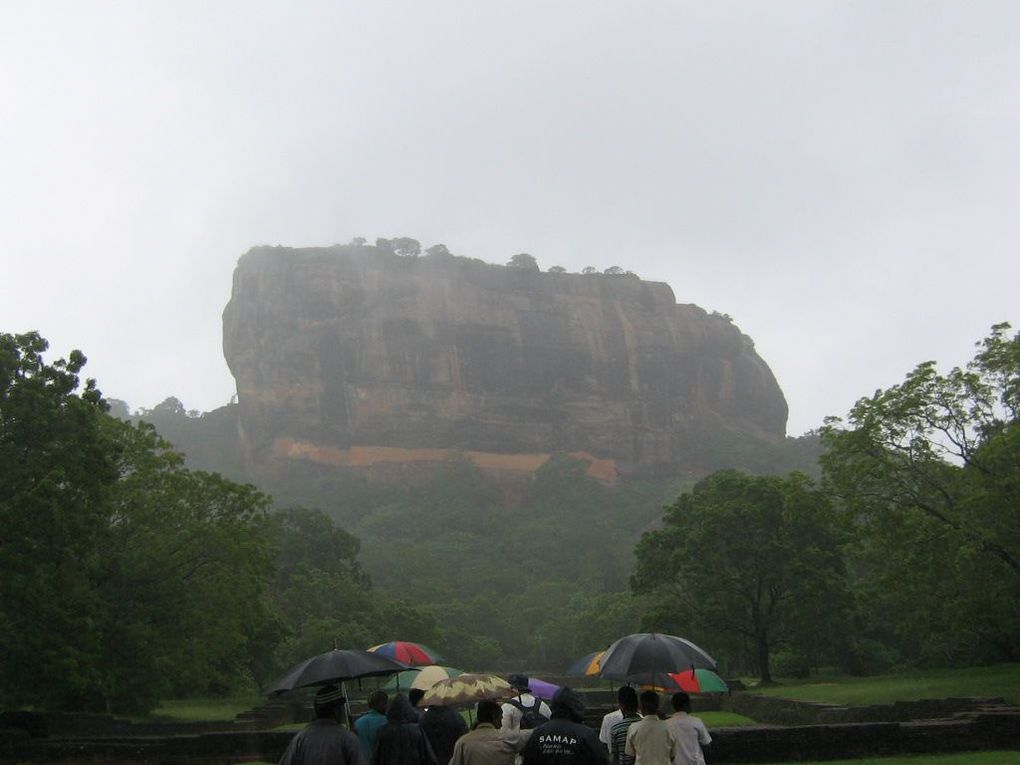 Album - Sri-Lanka