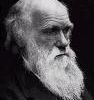 Charles Darwin - Un genio incomprendido