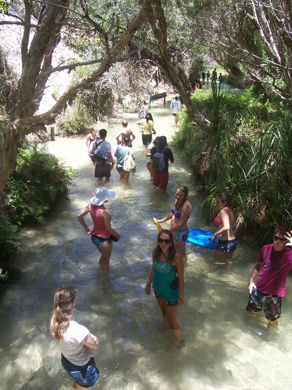 Mal wieder ein toller Urlaub, von Sydney, Brisbane, Fraser Island und last but not least Moreton Island!