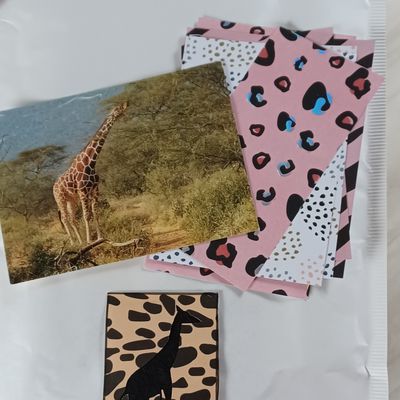 Atc girafe  scrapées  chez tortue 