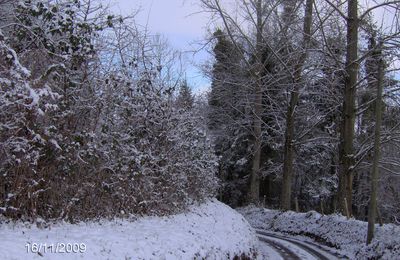 Bleu...blanc...neige...