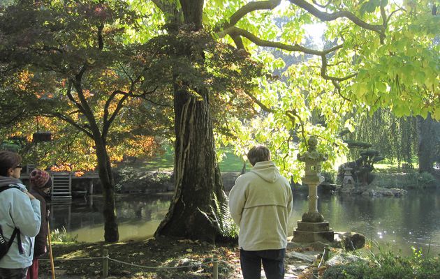 Le plus grand jardin japonais d'Europe