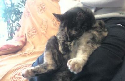 Joyeux Anniversaire Mr George Abitbol Le Blog Cepomoa