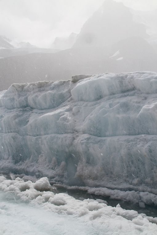 Lake Louise- Jasper par l'Icefields Parkway J4