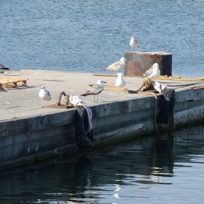 Balade sur le quai ...