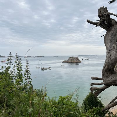 Jour 7 - voile et char à voile 