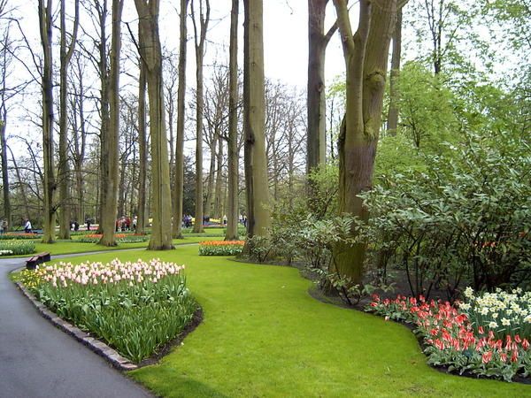 <p>Photos prises au jardin de Keukenhof aux Pays Bas</p>
<p>Il faisait froid et humide, mais c'était beau!</p>