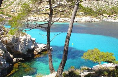 Protégeons les calanques de Marseille!