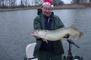 A la recherche de la bûche de Noel !