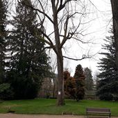 Agressions homophobes au parc Micaud à Besançon : 3 ans de prison requis contre le principal agresseur