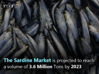 Global Sardine Market Driven by Emerging Trend of Ready-to-Eat Food Products