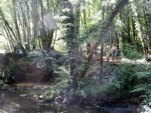 Mesnay (Jura en camping-car)